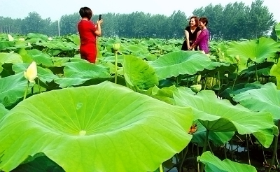 713գοȨغũͥũĺ档üͥũģʽź¸ģʽ