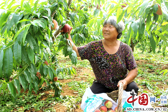 ɽ������������ϲժ������