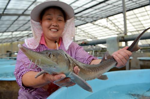 �ӱ����أ�������ֳ���츻����衱