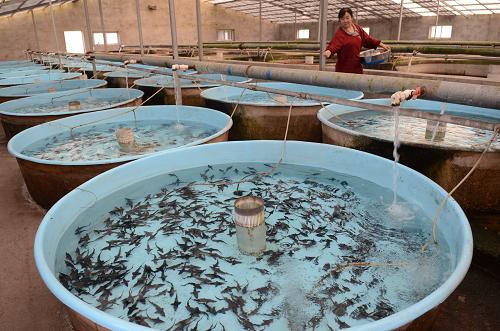 7��14�գ��ӱ�ʡ�����������ִ���������ιʳ��