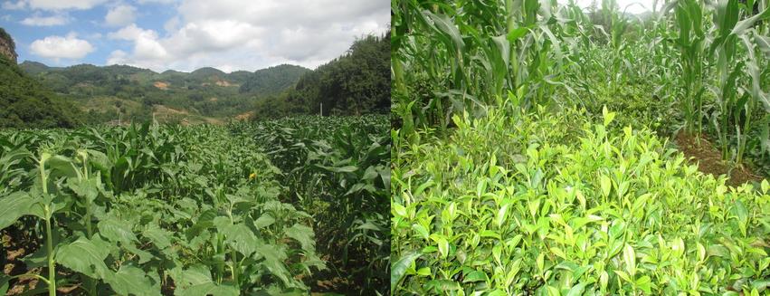 ���ϲ�Դ���ھ���ʳ����ͻ�ƿ� �����ƹ���ʳ���������