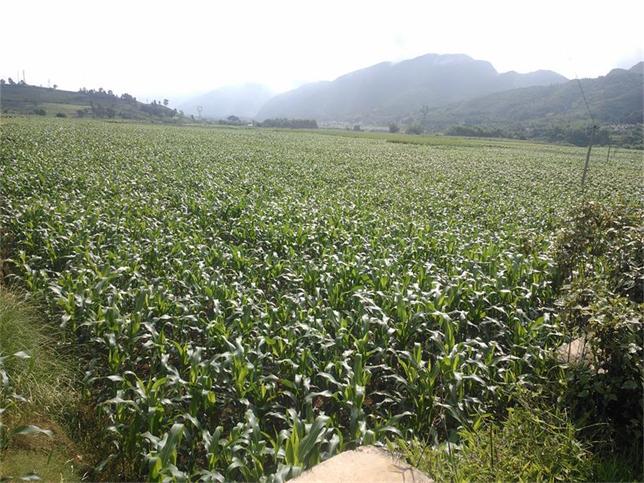 ���Ϲ��������׸߲�����ʾ��������ϲ��