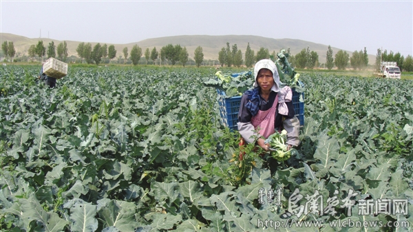 ���ɹź��ͺ������ش�������ϲ�����