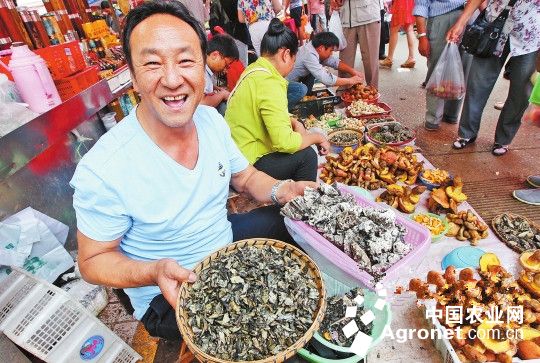 ����Ұ������Ʈ�г�