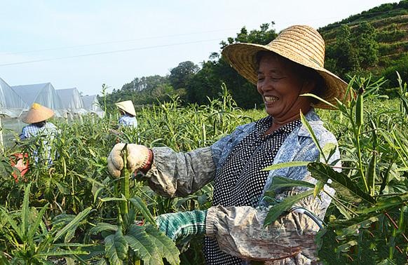 ���������������������������� ÿĶ��ֵ����Ԫ