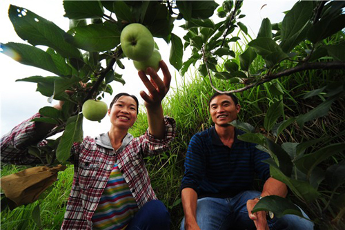 贵州黔南惠水农民依托生态农业走上致富路