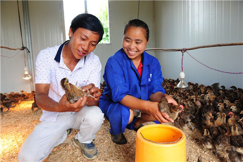贵州黔南惠水农民依托生态农业走上致富路2