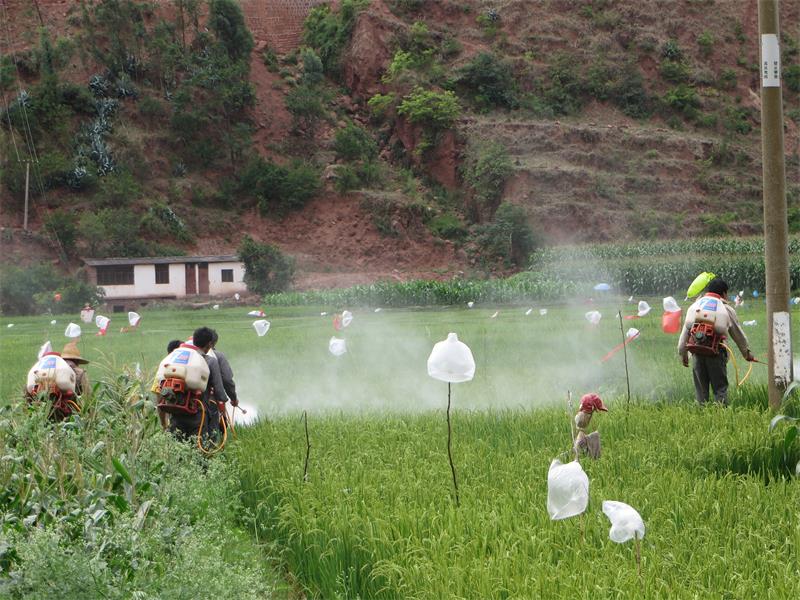 ����»��ھ��򣺻�ũ����ʹũ��չЦ��