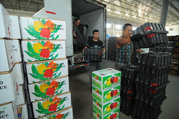 7月15日,在黑龙江省牡丹江市宁安市的国际物流中心,工作人员在搬运准备出口俄罗斯的蔬菜。