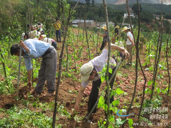 ���Ͻ������Ϲص��ʵ�ж�����������ģʽ Ч��ϲ��