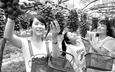 718գ2015йڶӲժڡߺзظ̬԰ٰ죬Ϲʵۣοǰժ