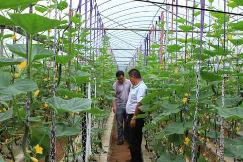 ����ʦ�����ƹ����������߲����༼��