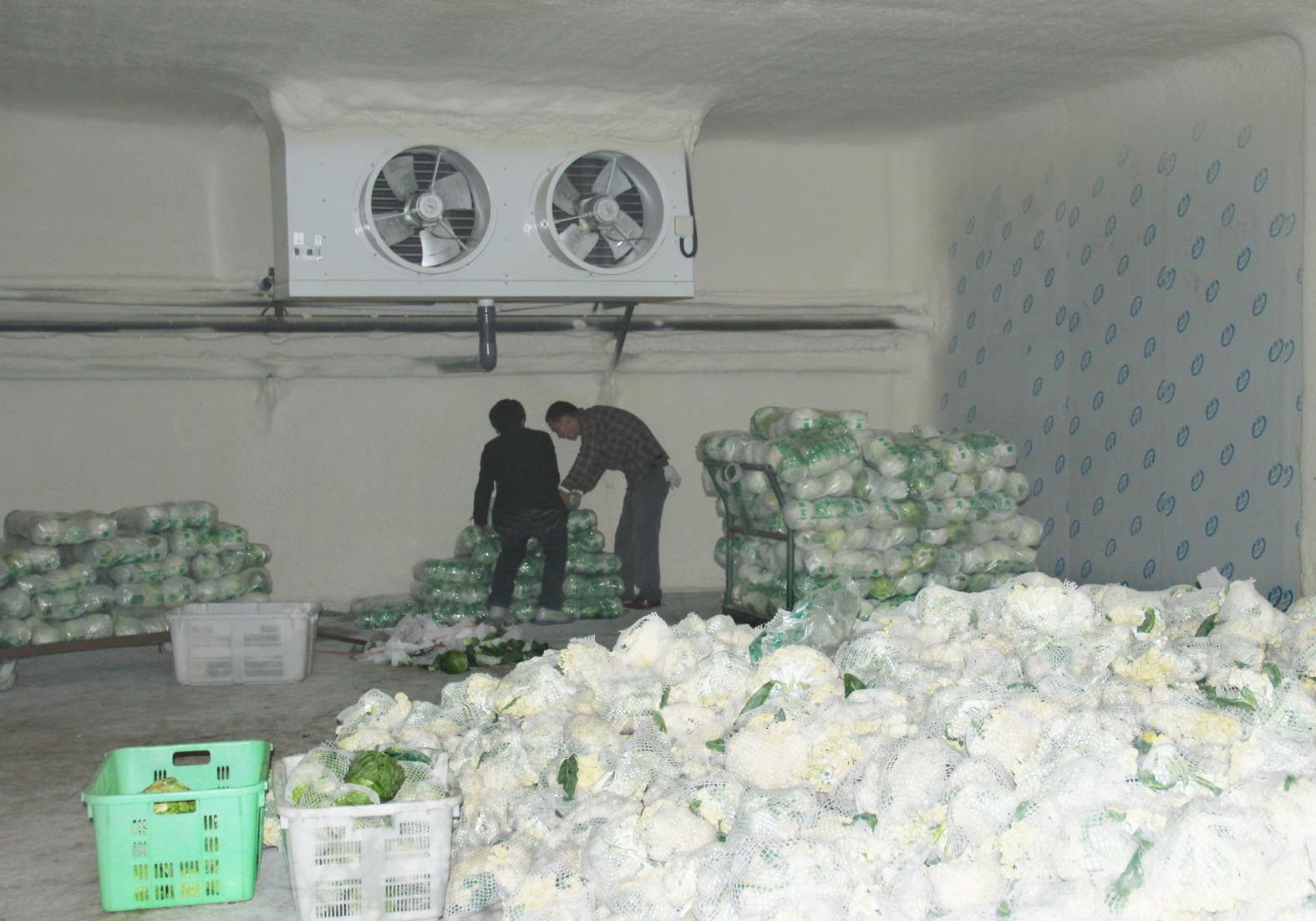 �����̨�߲˻�����⽨�貽���ӿ�