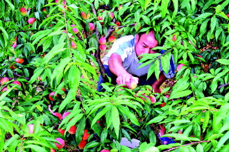 ����˼�����ӷ�����