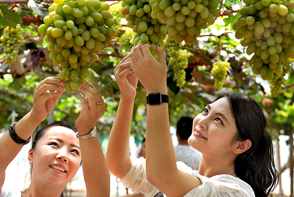 ����μ������μ����μ�����Ѳ�ҵ԰ ʵ��ũҵ������ת��