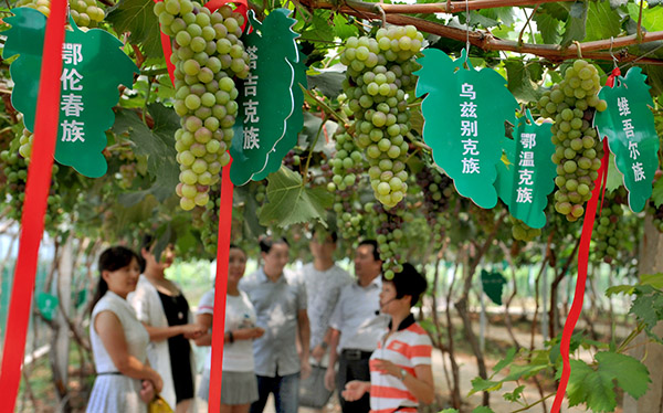 ��7��17�գ��ο��ڡ��й������������²ιۡ��������֦��ΰ���Ծ����������ϣ��޽��˴���56�������Ž��56�����ѣ���Ϊ�ο͹��͵ıص�֮����