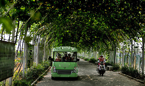 7��17�գ��ο����������ѳ��Ȳιۡ�