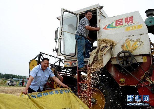 山东夏粮喜获丰收