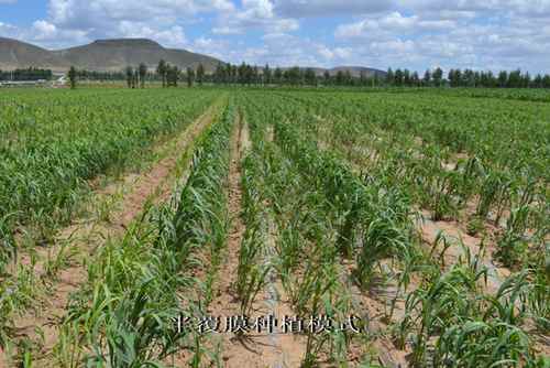 ���ɹų����ɽ��ũ���֣���ע���ӻ�е��Ĥ