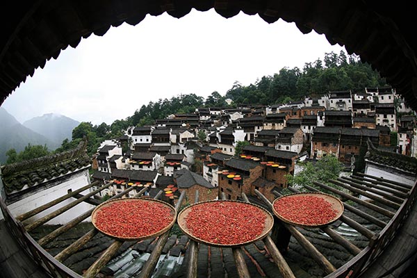 721ڽʡԴԲԲɹͷ׵ķչʵ