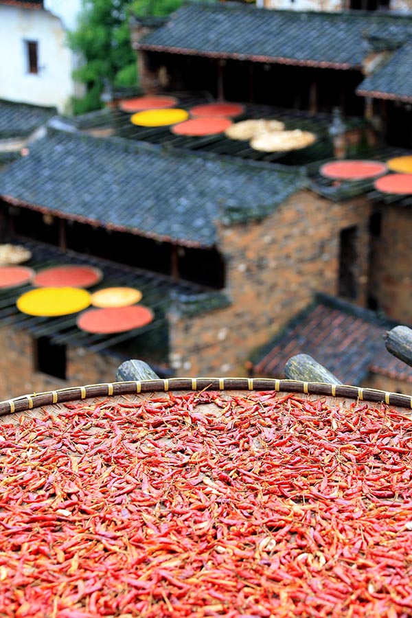 721ڽʡԴԲԲɹͷ׵ķչʵ