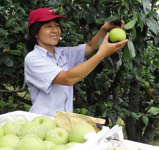 ������ɽ������������