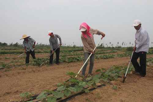 ���ɹų���У����������微�ֳ��ּ����ֲ�ƽ��