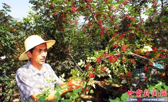 ��������25��Ķ���������ժ��