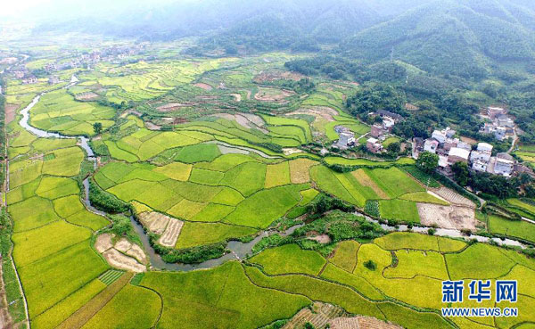 �����ڰ��أ���������� ��������