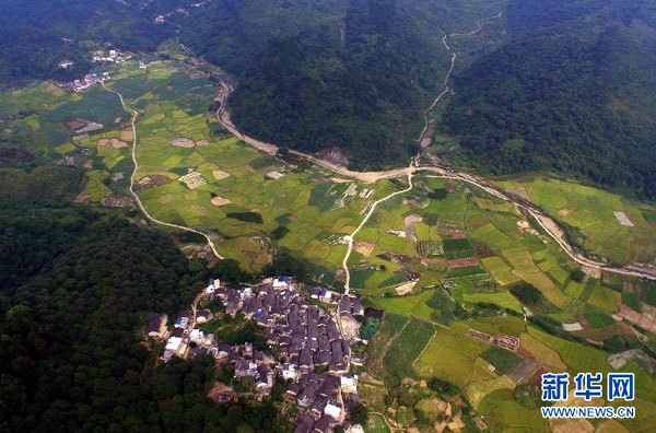 ����7��22���ڹ����ڰ��ض������½Ŵ�����ĵ��