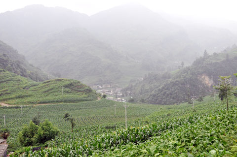 ����ϲ��