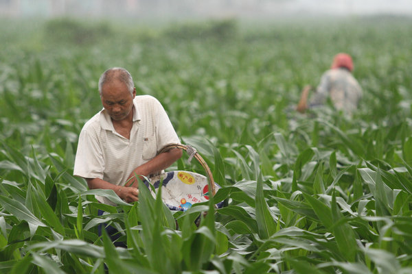 �����Ϫ���幵��ũ�����æ���