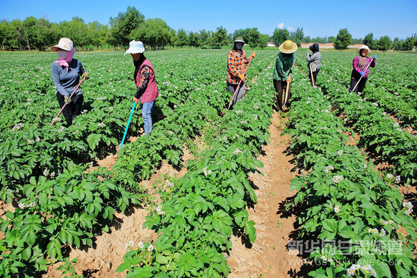 ���ඨ���У�������֮�����æ