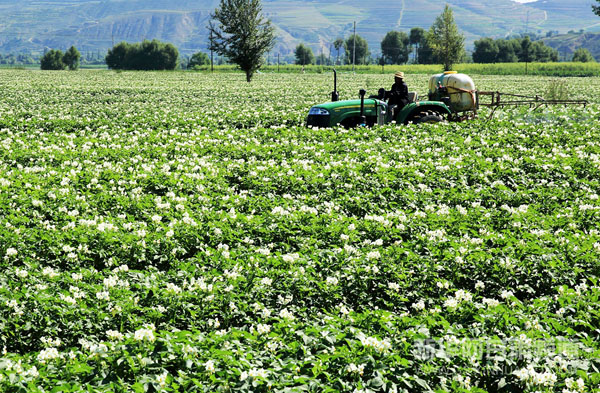 7��24�գ��ڸ���ʡ�����а�������Ȫ����������������ʾ�����أ�ũ���ʻũ��Ϊ����������ũҩ��