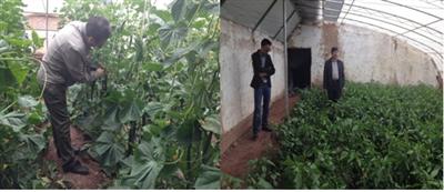 西藏昌都市开展年中农产品质量安全监管工作