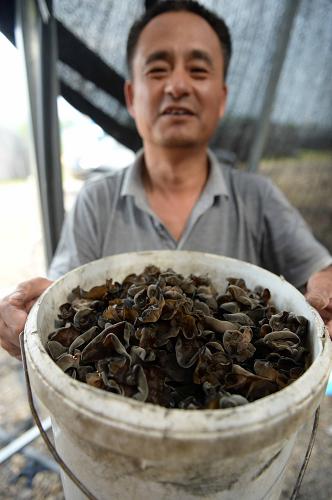 722գһλľֳչʾոժĺľ