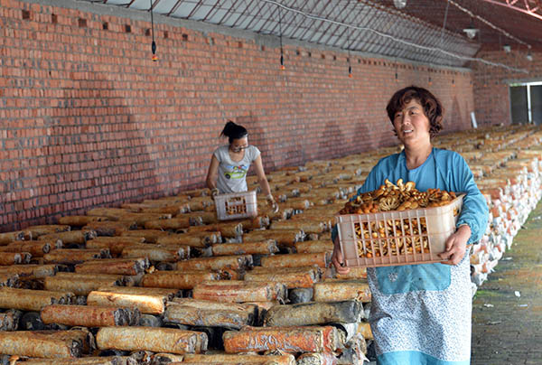 7��27�գ������ɹź��ͺ������䴨���ɺ�Դ��ҵĢ���������أ���ũ���ջ��ӹ���