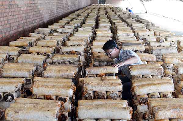 7��27�գ������ɹź��ͺ������䴨���ɺ�Դ��ҵĢ���������أ�����Ա�ڹ۲컬�ӹ����������