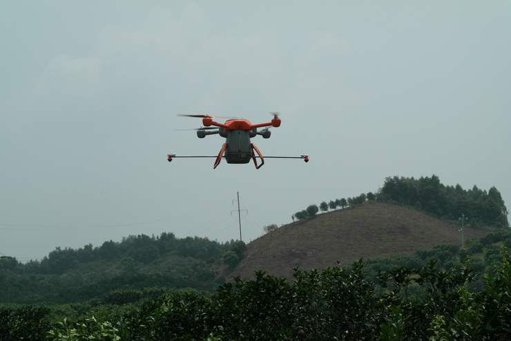 ������ֲ�����˻����θ���ľʭ