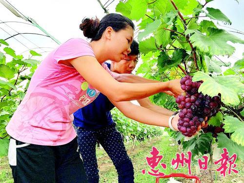 ʹժ· 㶫ÿۼ۳30Ԫ