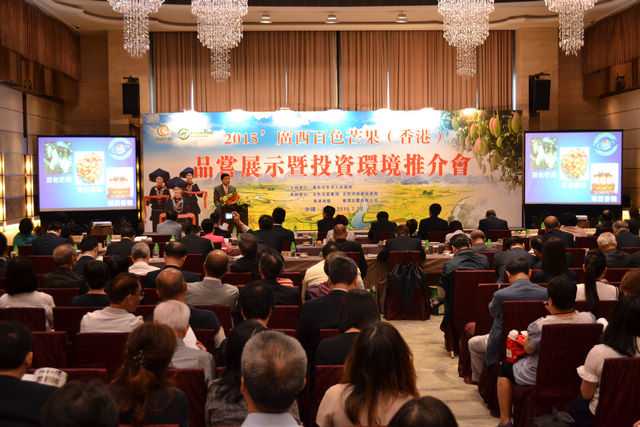 ������2015���ɫâ������ۣ�Ʒ��չʾ��Ͷ�ʻ����ƽ������۾���