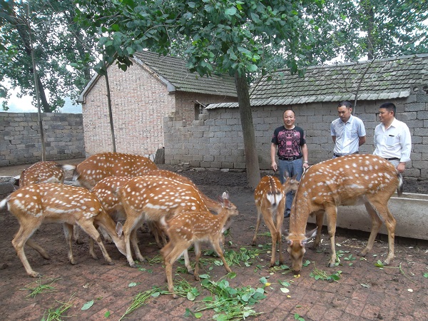 ��������ش������������ּ�����������ֳ�¸�