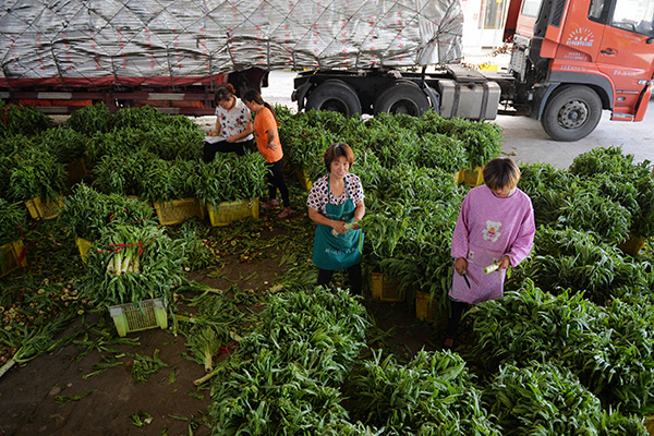 ������Ҵ����ҵ���Ŵ����߲˳��ڡ���һ���䡱