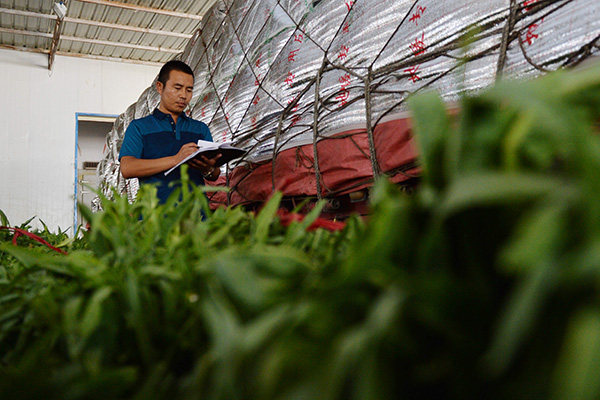 7��27�գ���Ҵ�з���ũ��Ʒ����ó�׹�˾�����˴޷�����һ��װ�������߲˵Ļ����Ժ˶Է�������