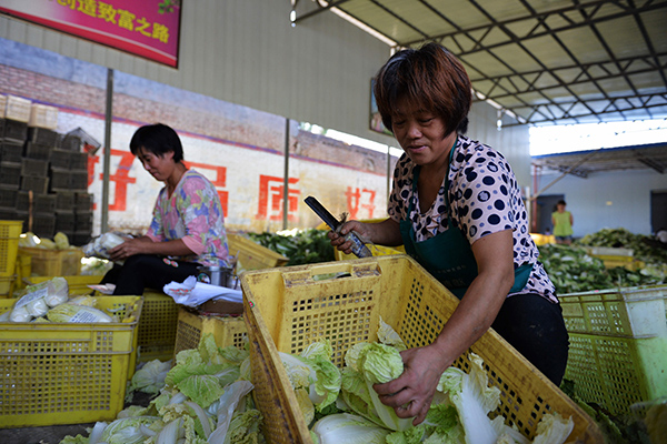 7��27�գ�����Ҵ������ʵ�ֶ����ǳ����߲˵ķ���ũ��Ʒ����ó�׹�˾��⣬�����ڷּ�Ҫ���ڵĸ�ԭ�Ĳˡ�