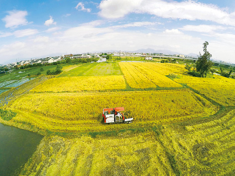 727գһ̨ո㽭ʡ¥ո絾