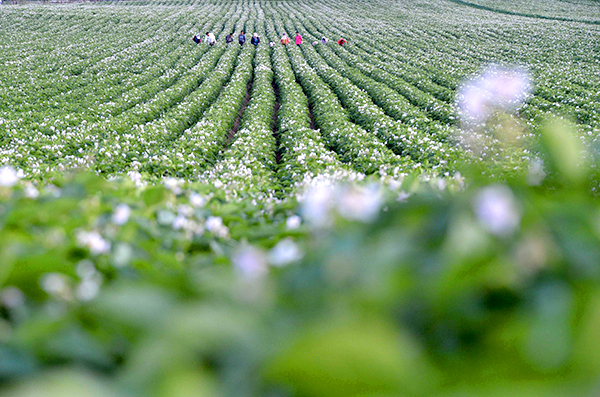 ���ɹ��䴨�أ�����������������Ұ