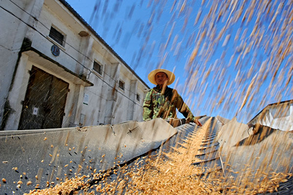 ��������ʡ��С����ʱ�մ�