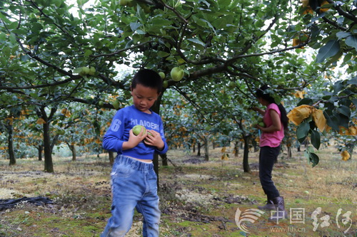 ����������ԭ������