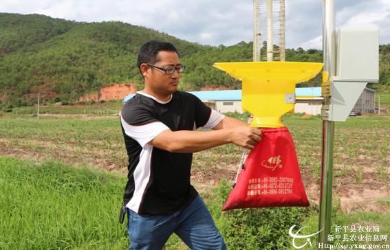 ������ƽ�أ��ƹ���ɫ���ؼ��� ������̬ũҵ��չ